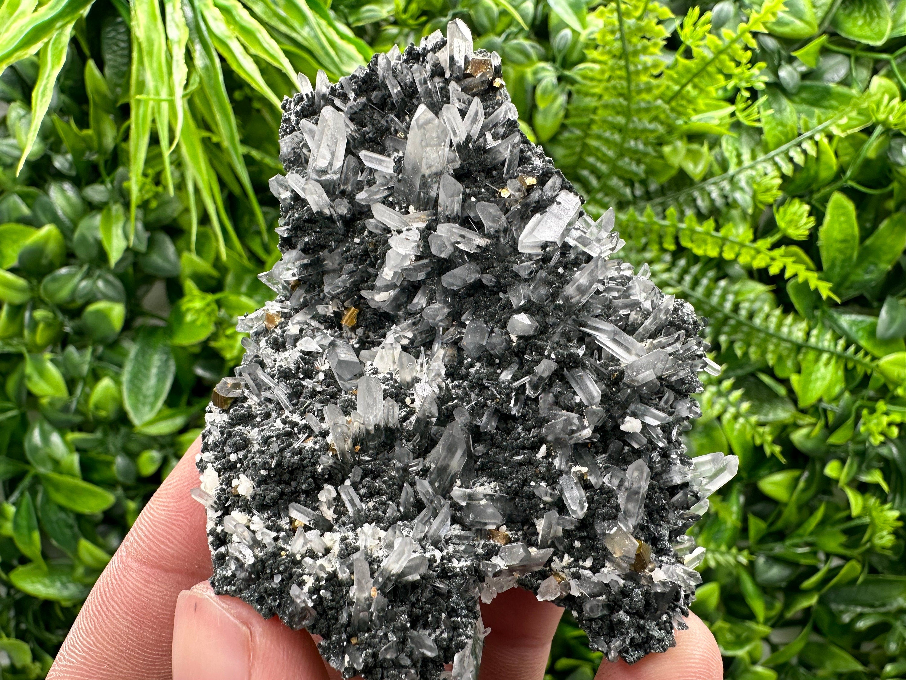 Pyrite on Quartz with Chlorite: Borieva Mine Crystal Decor