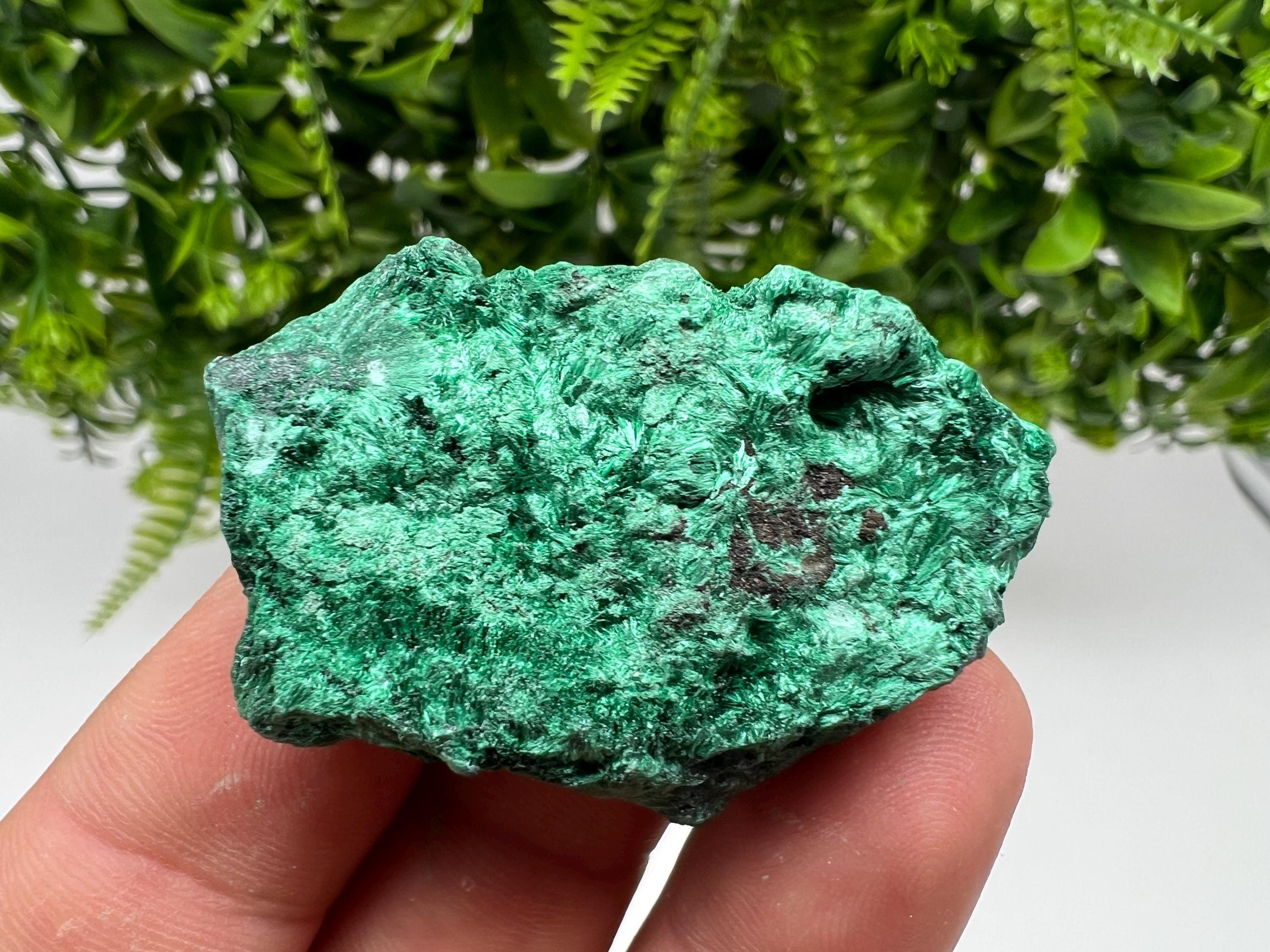 Malachite Crystal from Congo,Minerals,Crystals from Congo,Green Malachite, Malachite,Natural Malachite,Malachite Stone,Chakra, Specimens