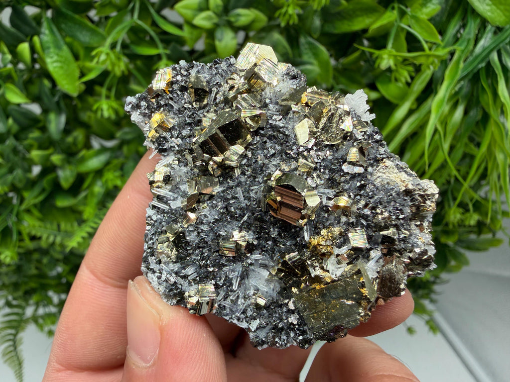 Pyrite Sphalerite Quartz  Mineral Specimen, Krushev dol Mine