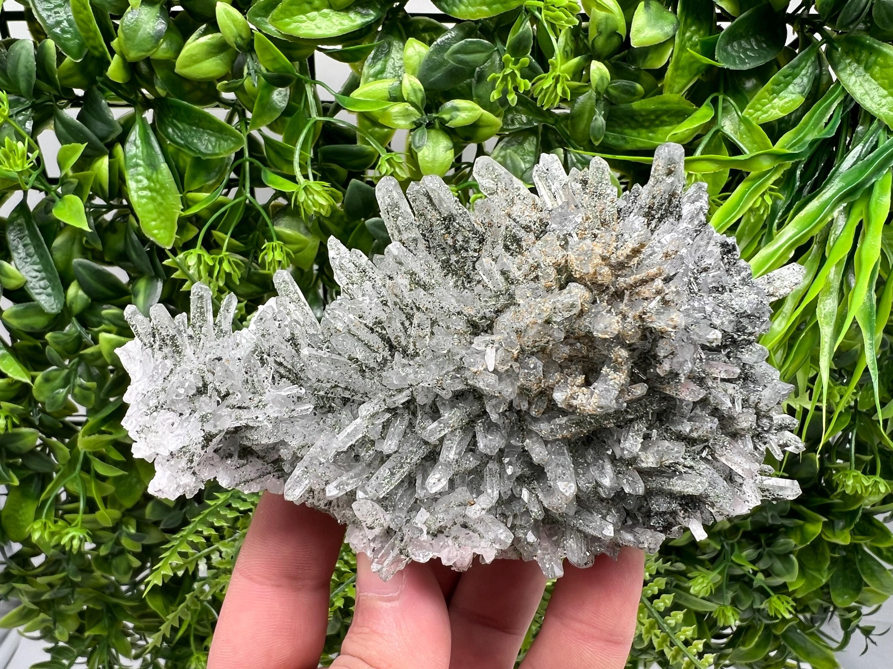 Quartz Rhodochrosite Cluster, Djurcovo Mine Mineral Specimen