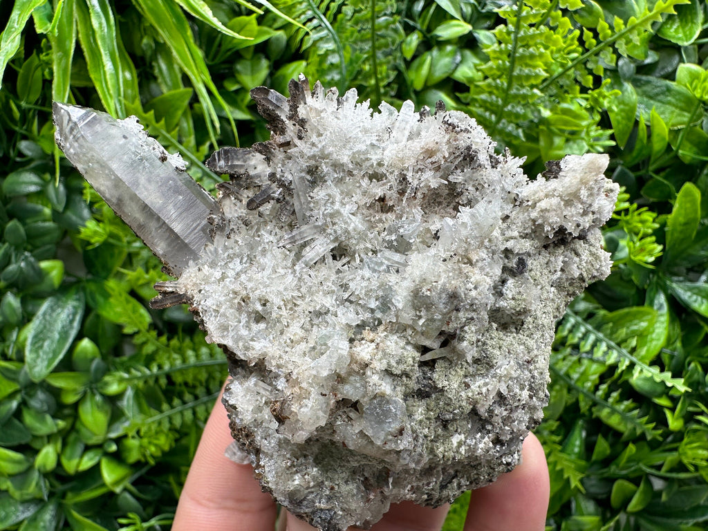 Quartz Crystal Specimen: Smoky, Clear, Chalcopyrite, Siderite, Calcite