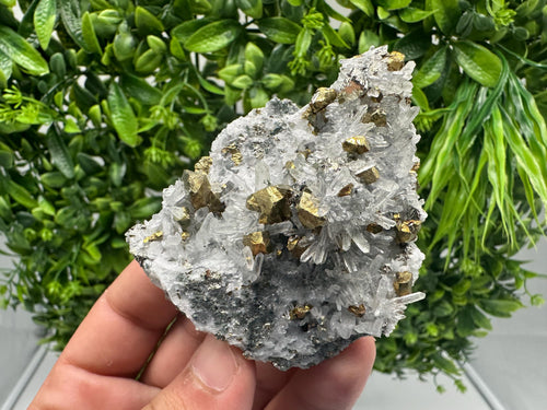 Chalcopyrite on Quartz, Chlorite Mineral Specimen, Bulgaria