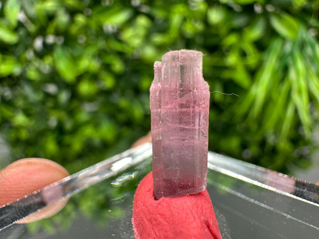 Rare Pink & Green Rubellite Tourmaline Pencil - 15mm