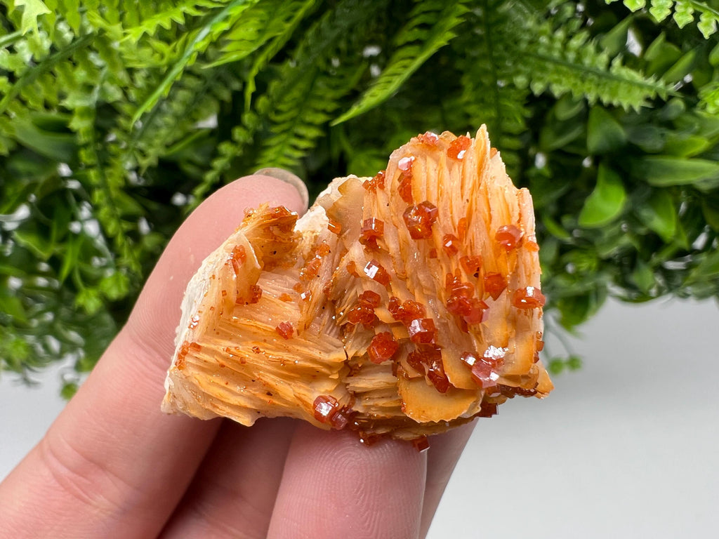 Red Vanadinite on Barite from Marocco,crystal minerals Speciment cluster Vanadinite crystal Vanadinite Geology Vanadinite cluster minerals
