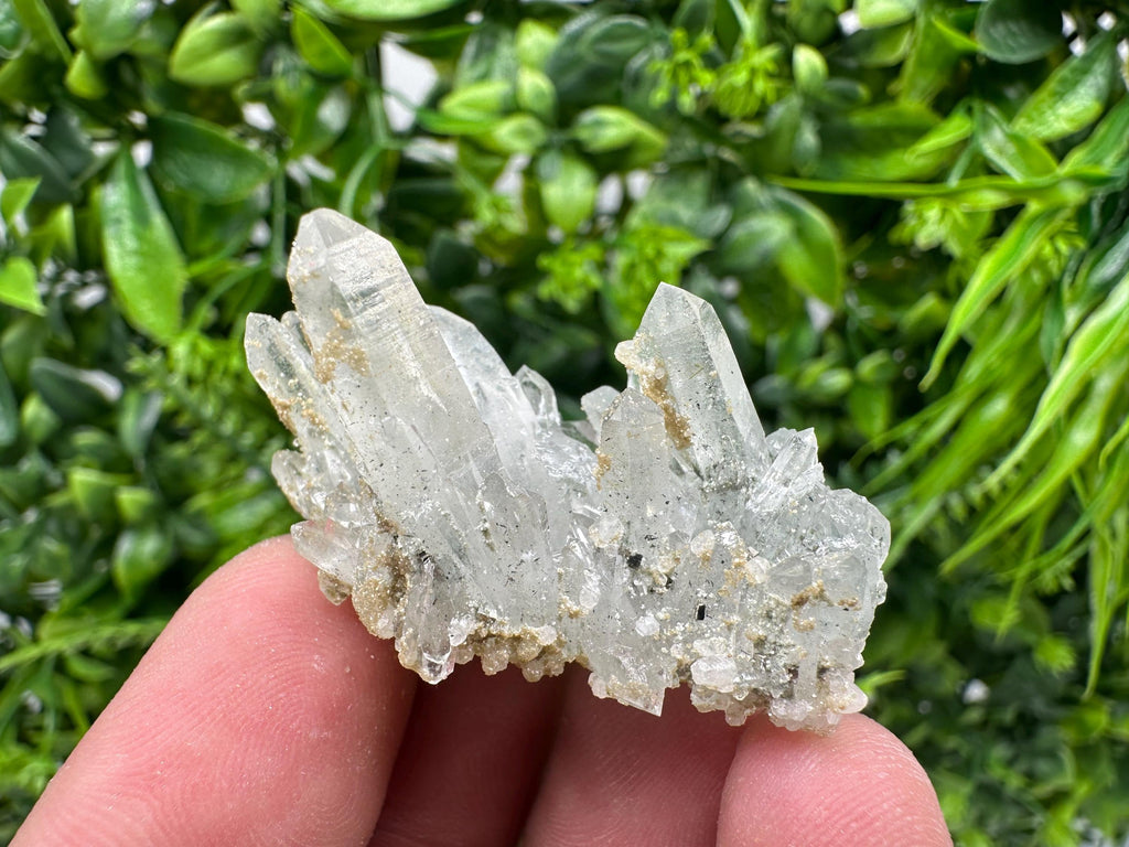 Quartz Rhodochrosite Cluster, Djurcovo Mine Mineral Specimen