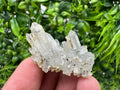 Quartz Rhodochrosite Cluster, Djurcovo Mine Mineral Specimen