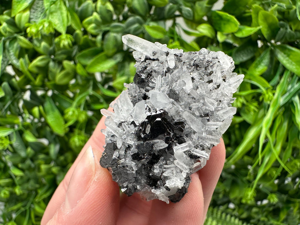 Wonderful Sphalerite Chalcopyrite on  Quartz whit Galena feom 9 th September mine,Bulgaria,natural,collection mineral specimen,gift