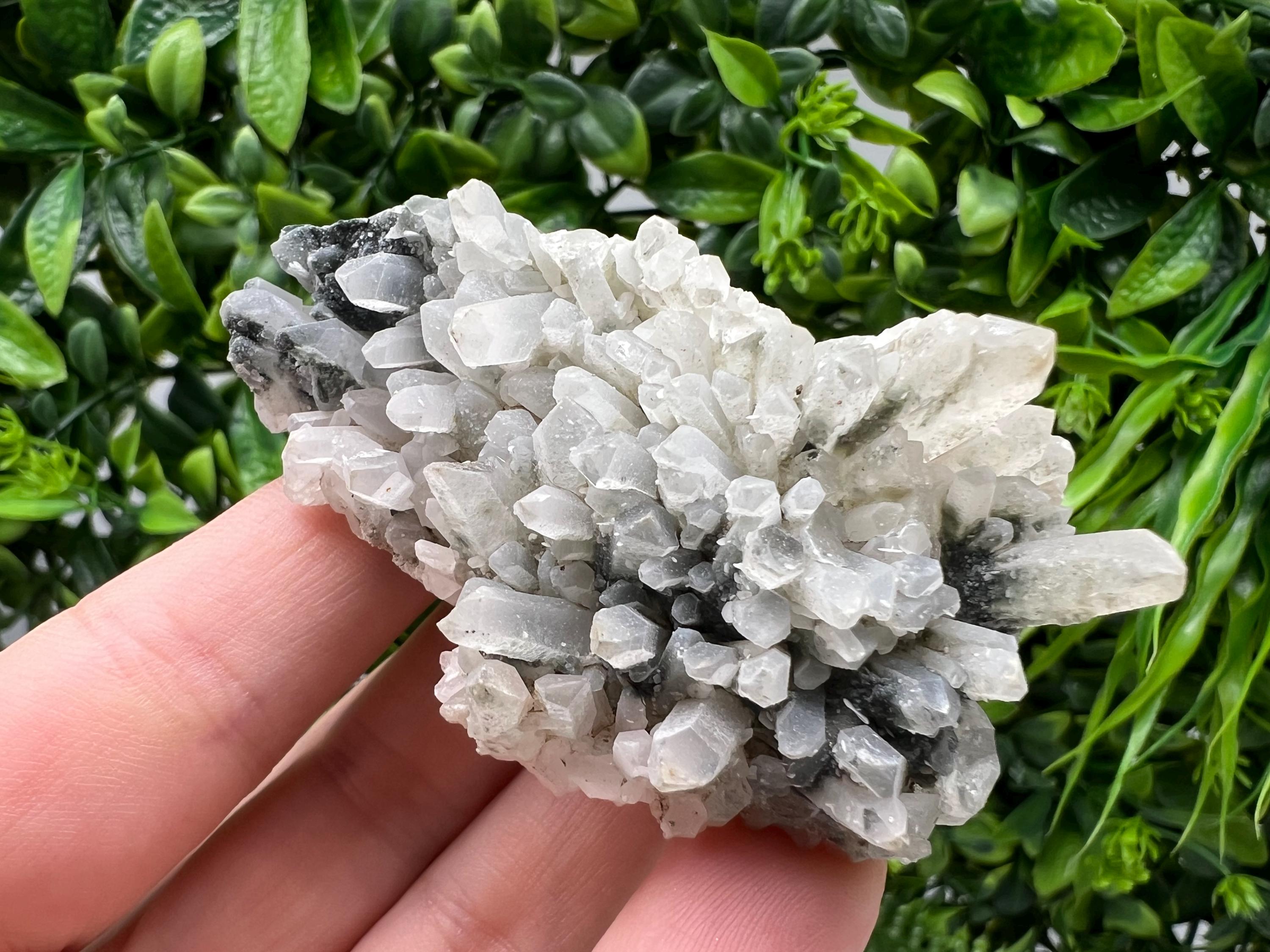 Stunning Transparent Quartz,from Borieva mine,natural collection mineral specimen rare crystal,home decor crystal,quartz cluster,Quartz,gift