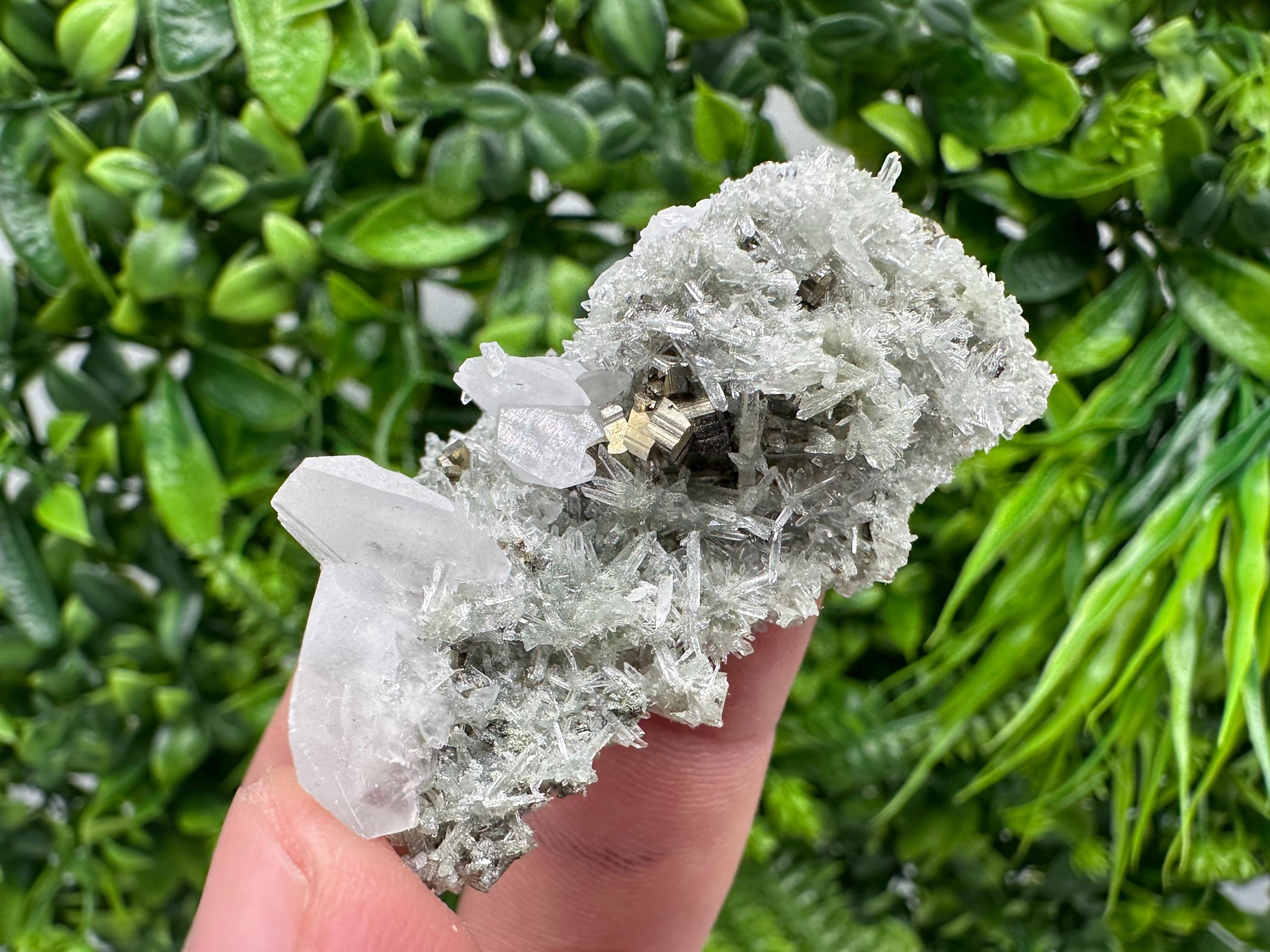 Pyrite on Green Quartz Mineral Specimen, Borieva Mine