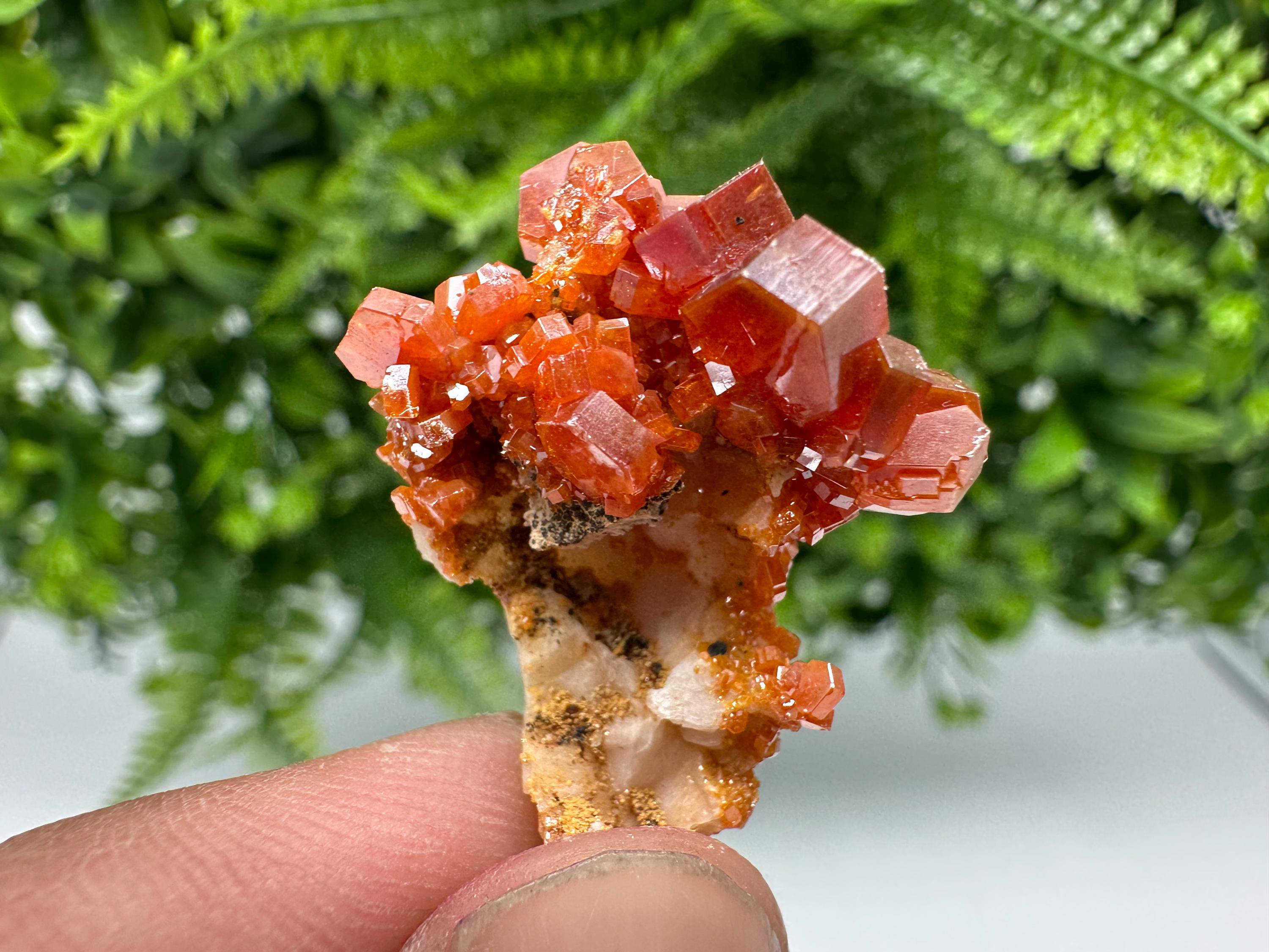 Red Vanadinite on Barite from Marocco,crystal minerals Speciment cluster Vanadinite crystal Vanadinite Geology Vanadinite cluster minerals