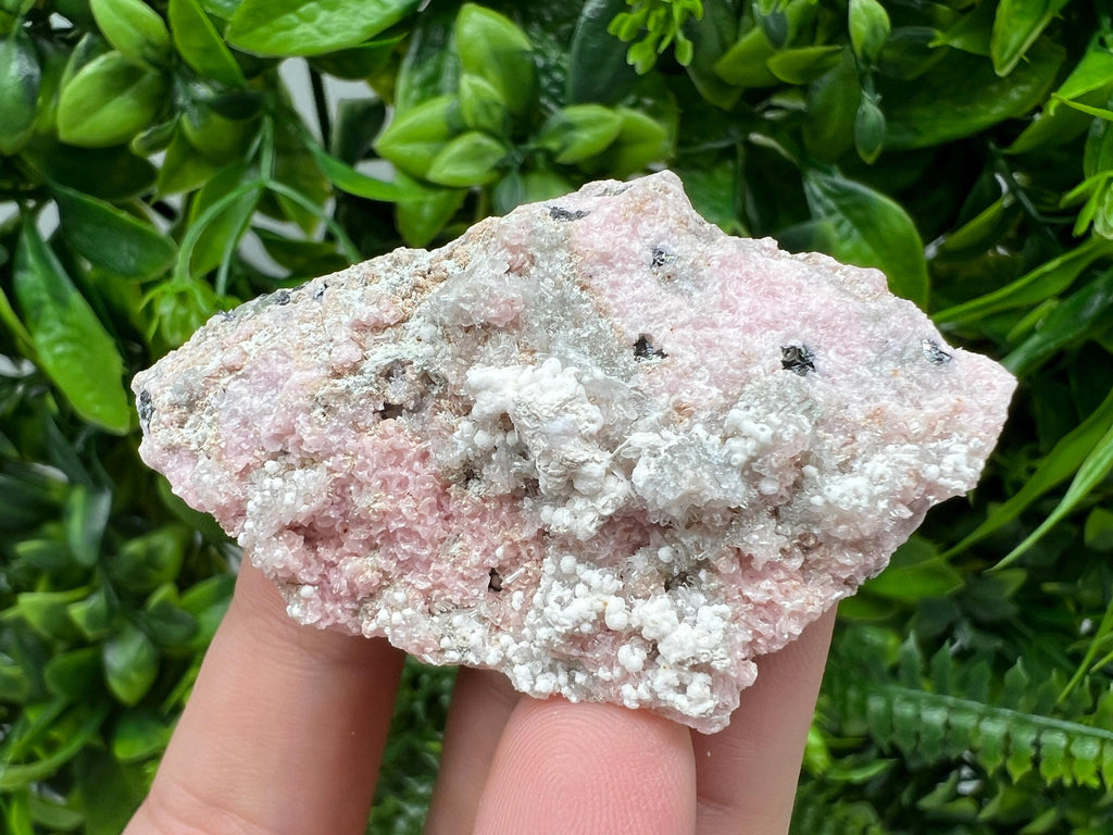 RARE Rhodochrosite with Calcite, Starnica Mine, Bulgaria