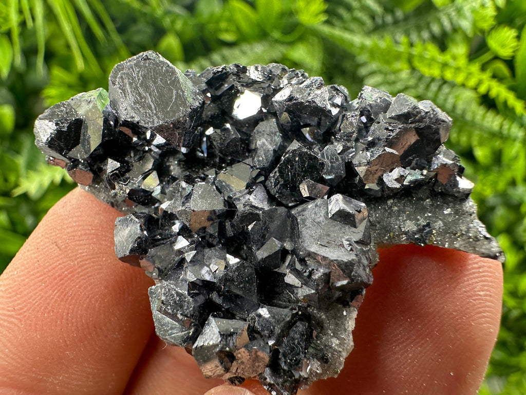 Shiny Galena on Quartz, Borieva Mine Bulgaria