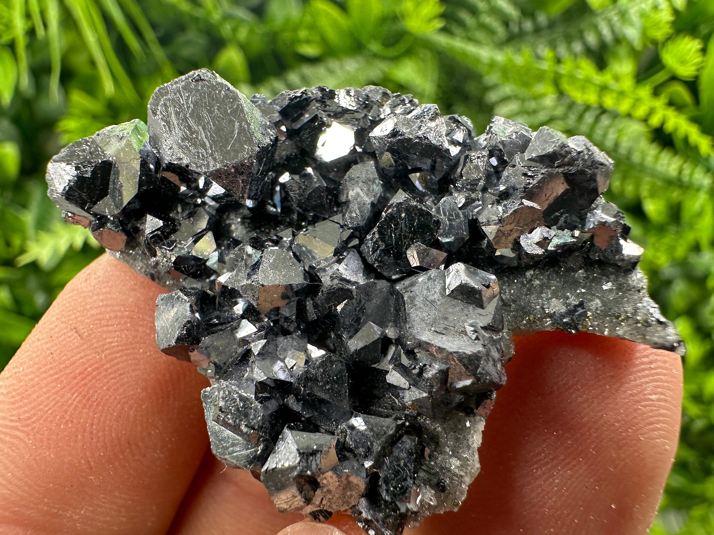 Shiny Galena on Quartz, Borieva Mine Bulgaria