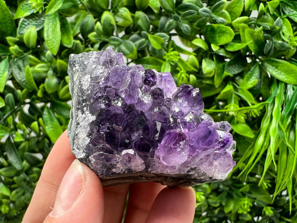 Uruguay Amethyst Crystal: Purple Quartz Phantom - Home Decor