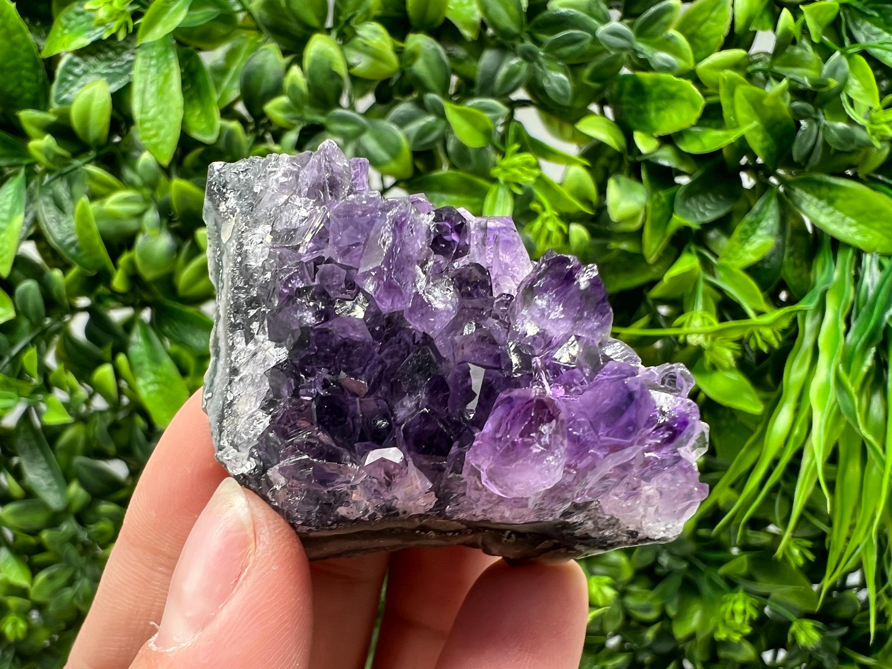 Uruguay Amethyst Crystal: Purple Quartz Phantom - Home Decor