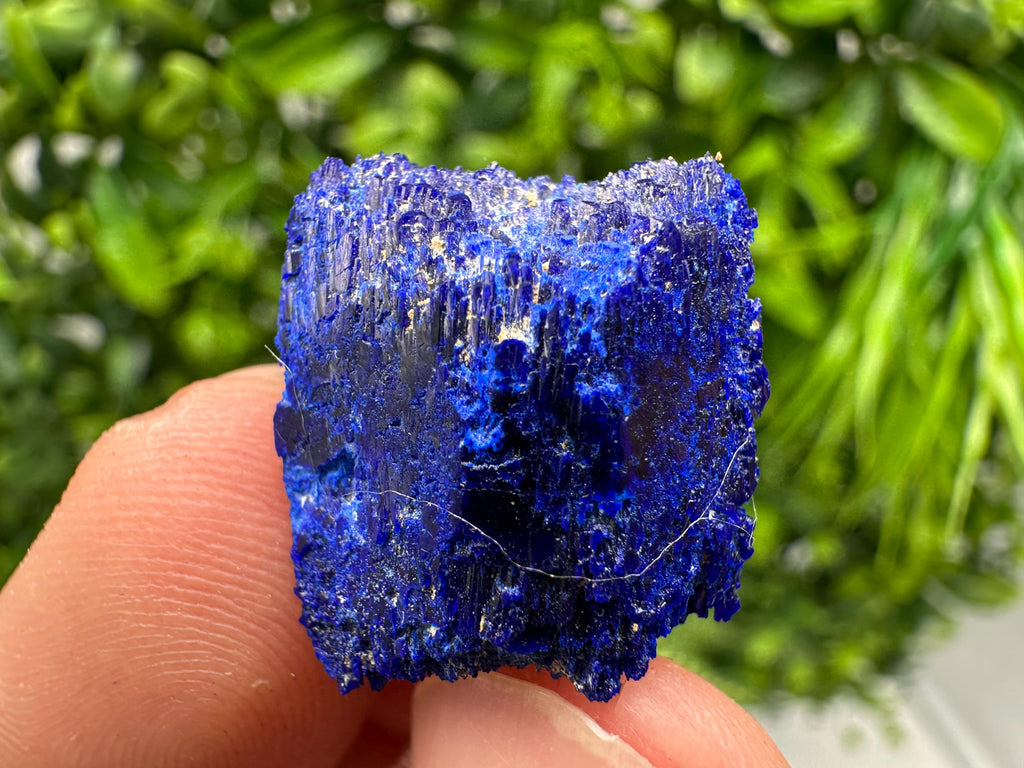 Crystallized Azurite-Kerrouchen,Morocco-Blue Azurite Specimen-High Quality Blue Azurite-Azurite Mineral Specimen, gemmy,lustrous of Azurite