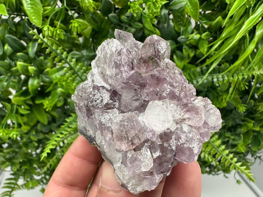 Brazilian Amethyst Crystal Cluster, Purple Quartz Specimen