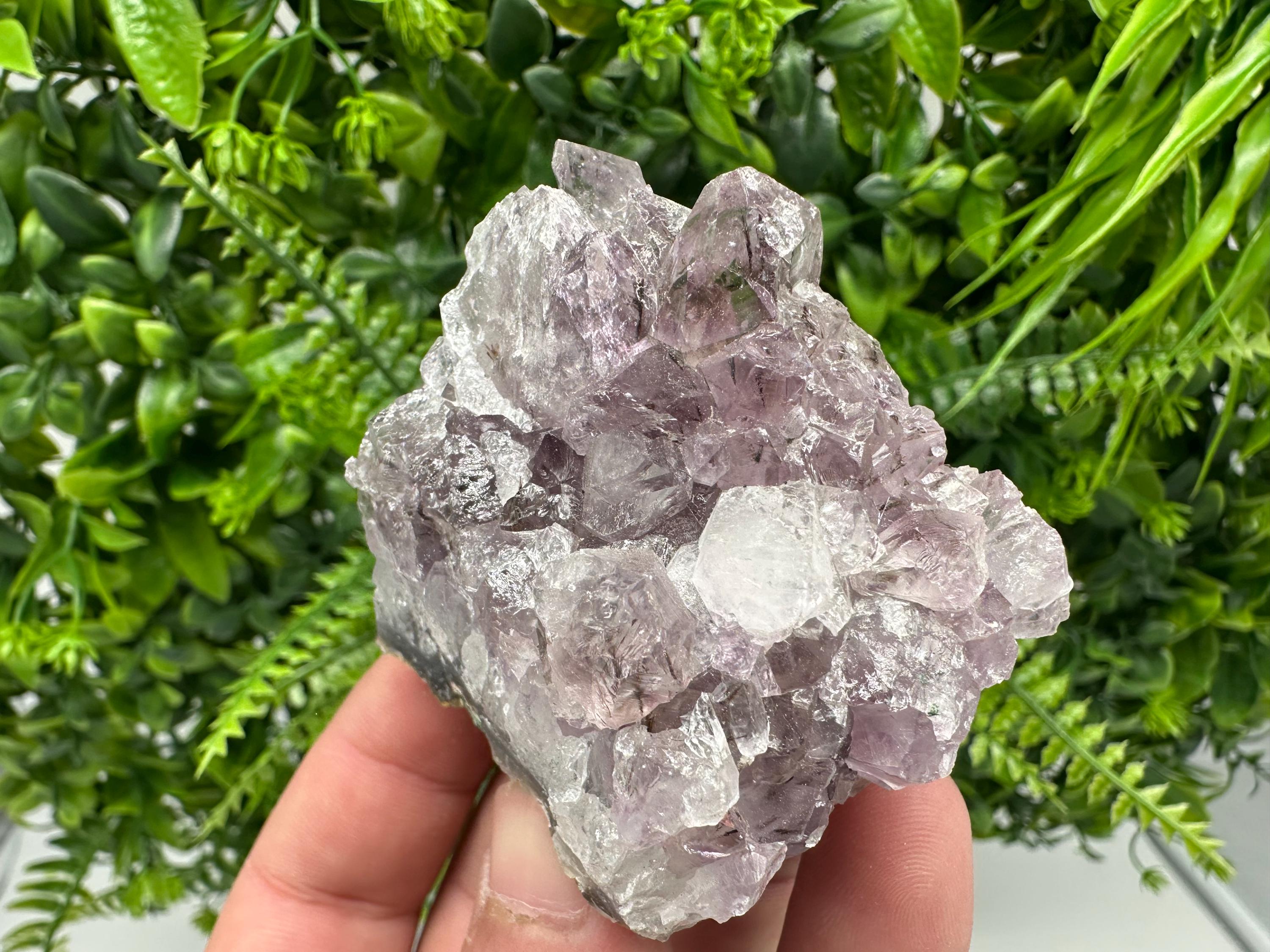 Brazilian Amethyst Crystal Cluster, Purple Quartz Specimen