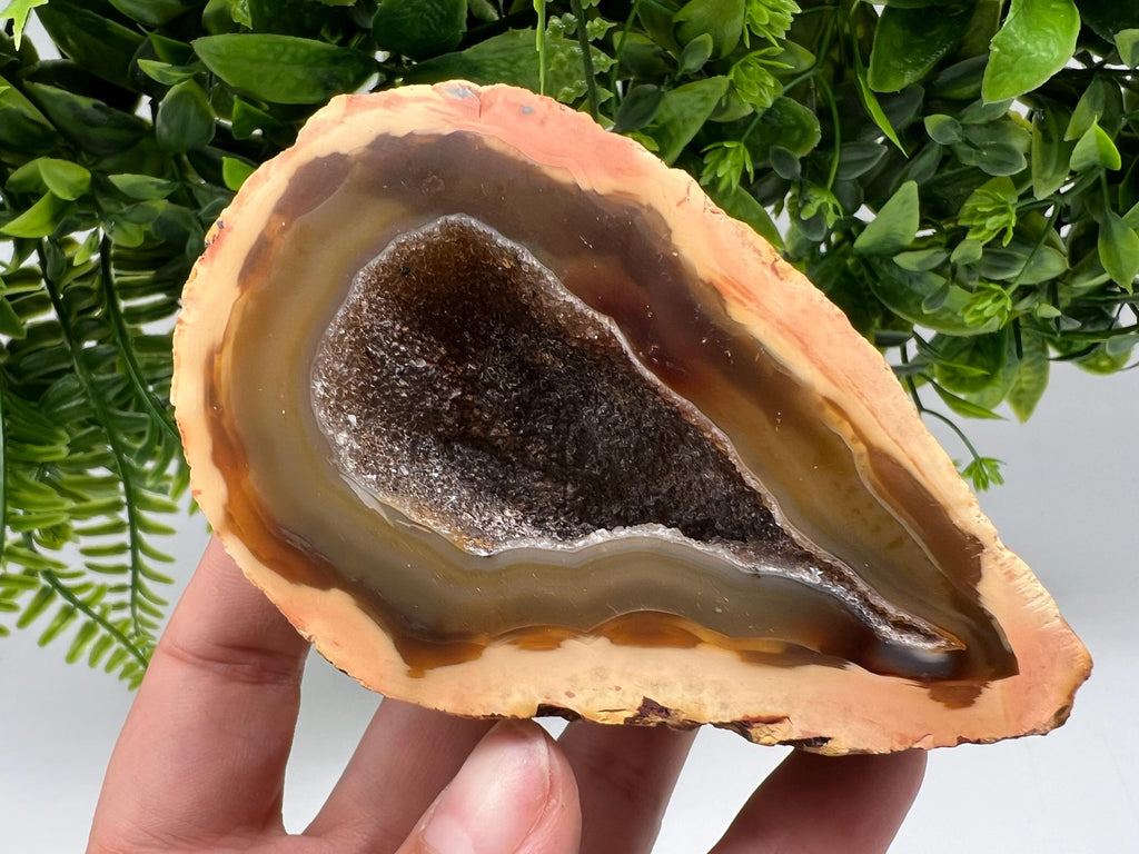 Natural Druzy Agate Geode, Quartz Crystal
