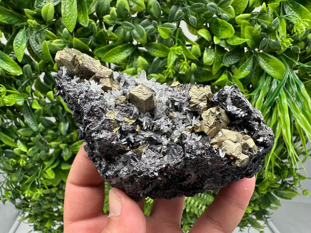 Chalcopyrite with Sphalerite on Quartz, Borieva Bulgaria