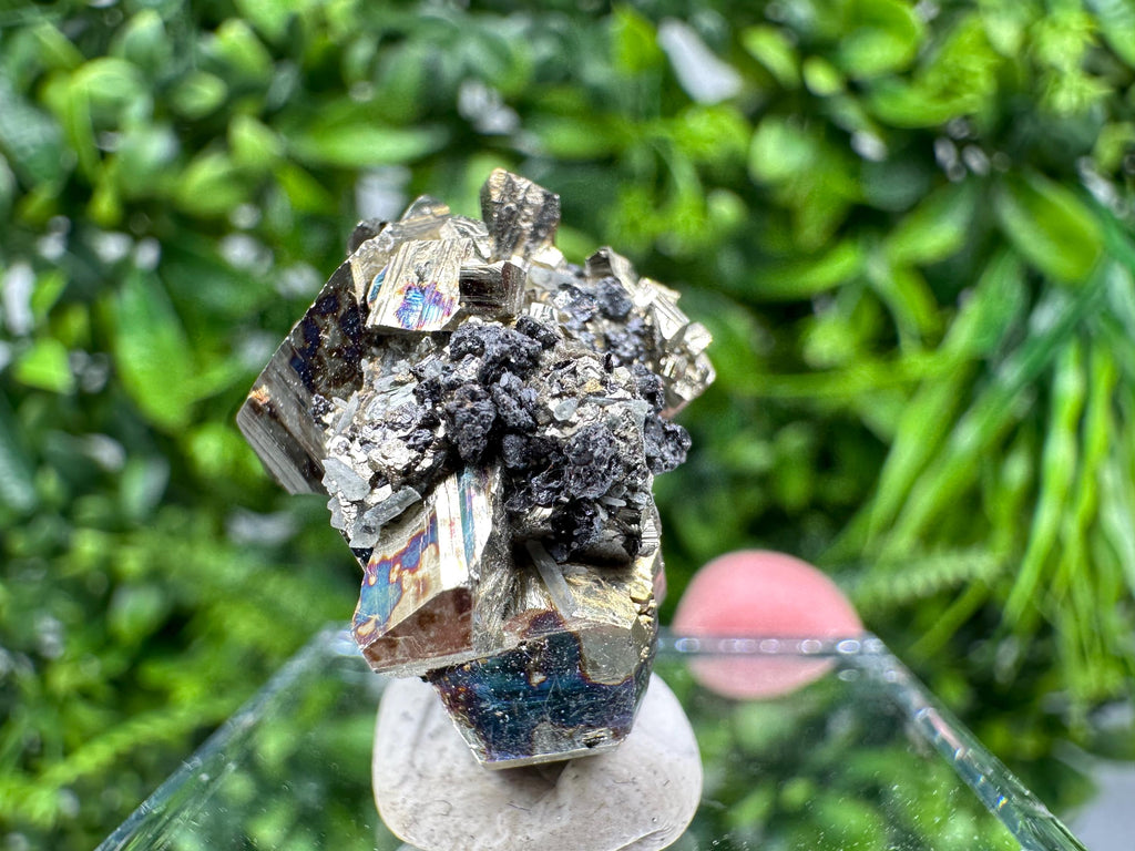 Rare Rainbow Pyrite Cluster: Borieva Mine, Bulgaria