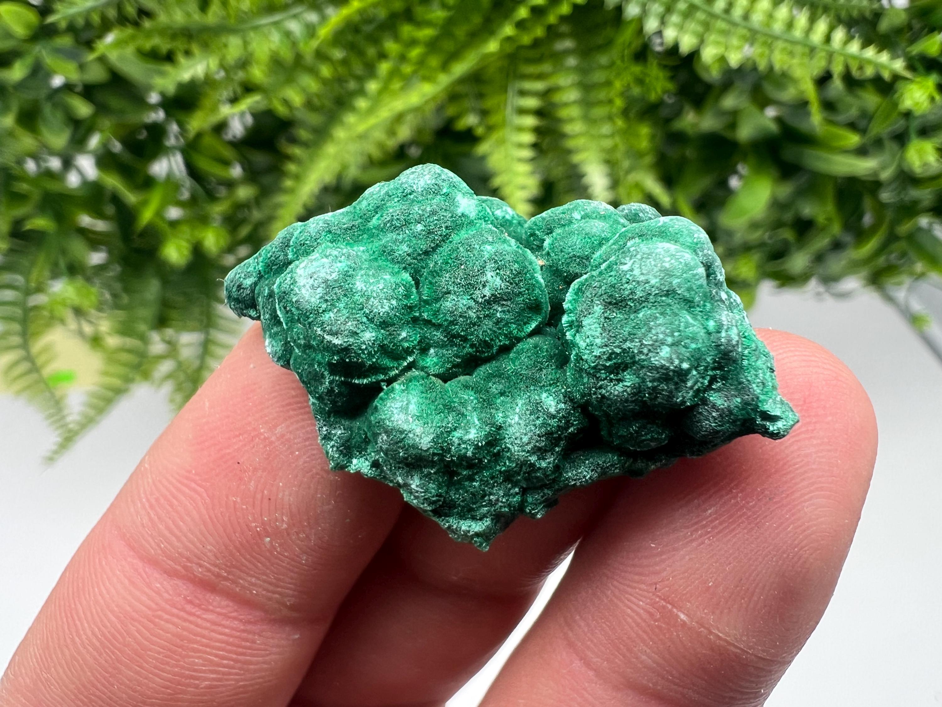 Malachite Crystal from Congo,Minerals,Crystals from Congo,Green Malachite, Malachite,Natural Malachite,Malachite Stone,Chakra, Specimens