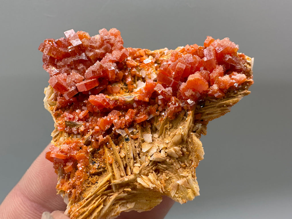 Red Vanadinite Crystal Cluster on Matrix, Morocco Mineral Specimen