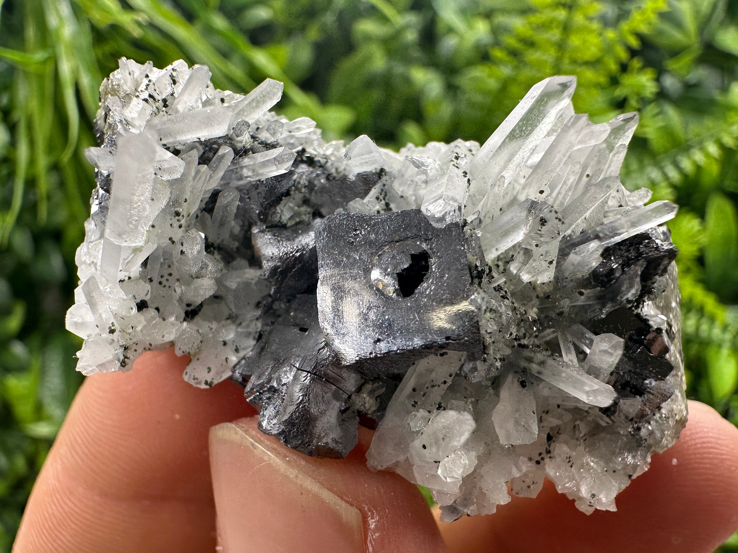 Galena on Quartz Mineral Specimen, Bulgaria Origin
