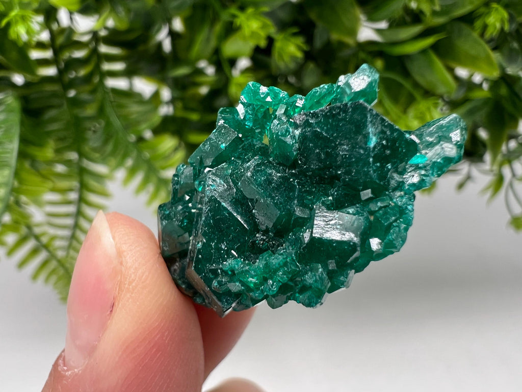 Green Dioptase Crystal, Congo Mineral Specimen, Collecting