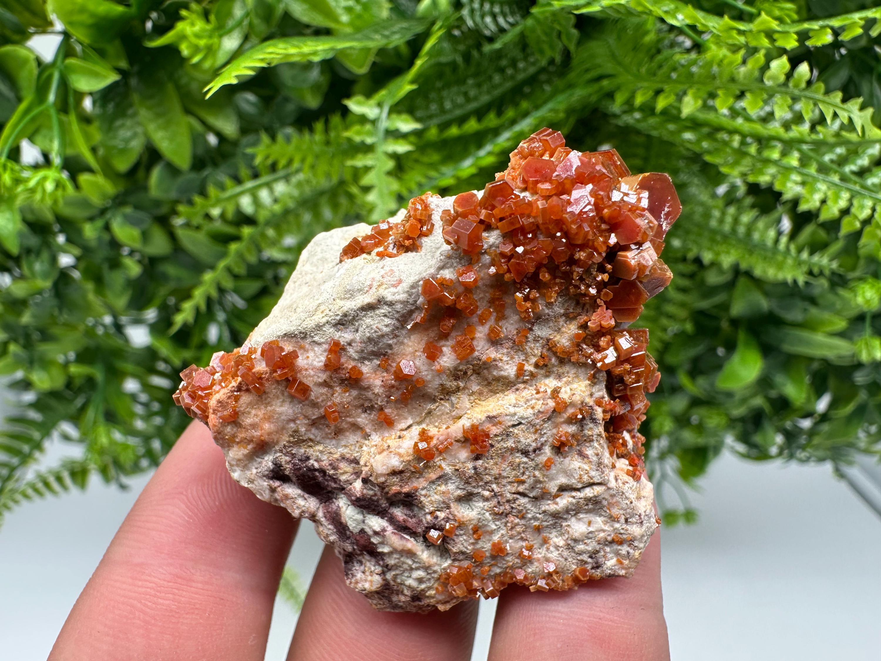 Red Vanadinite on Barite, Moroccan Crystal Specimen