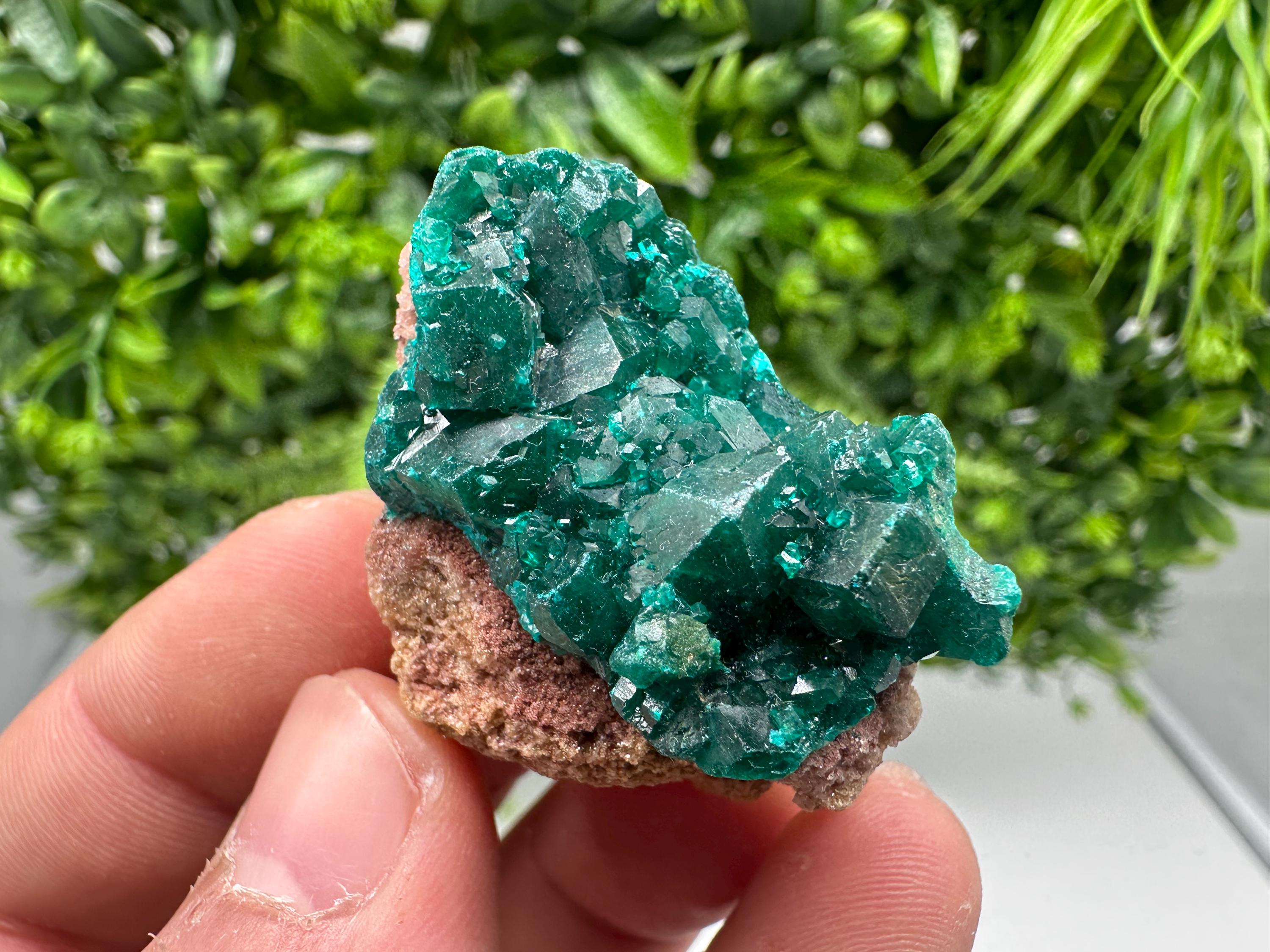 Stunning Green Dioptase from Sanda Hills,Mindouli,Pool Department,Mindouli District,Congo,green Dioptase,Dioptas Crystal,Dioptase collecting
