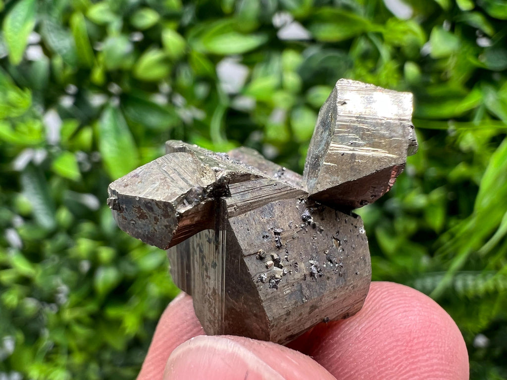 Mini Rare crystallisation Pyrite,Borieva mine,Bulgaria,floating Pyrite,golden Pyrite,Pyrite cluster,mini Collection specimen,Rainbow Pyrite