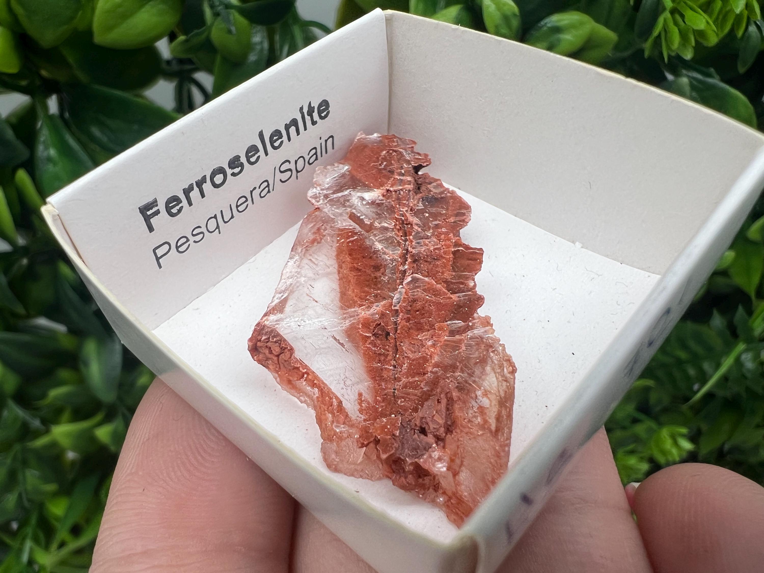 Rare Ferroselenite Crystal Specimen: La Pesquera, Spain (4.5/2.5 cm)