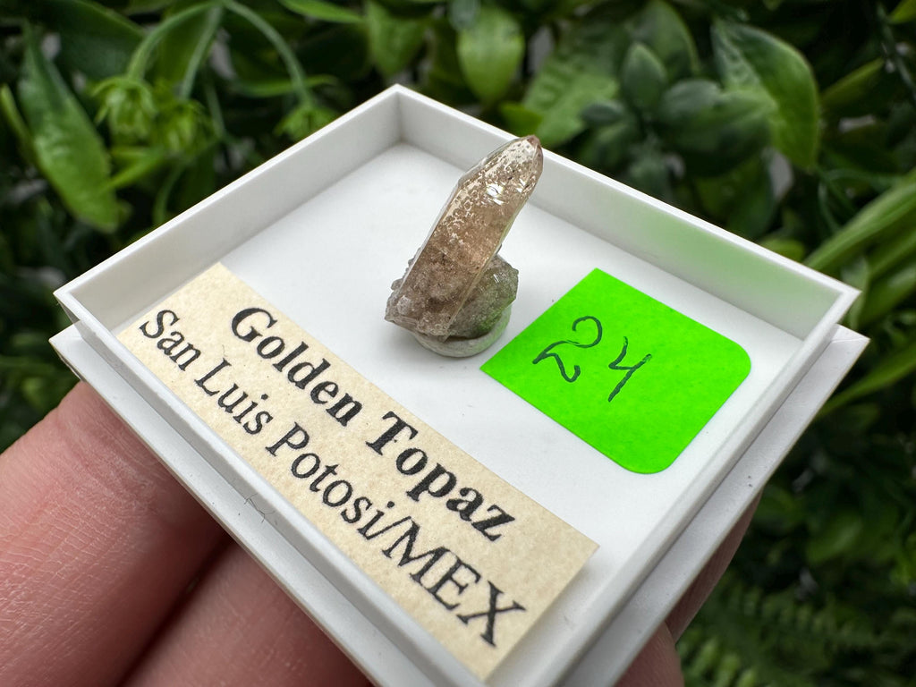 Golden Topaz Crystal, Mineral Specimen from Mexico