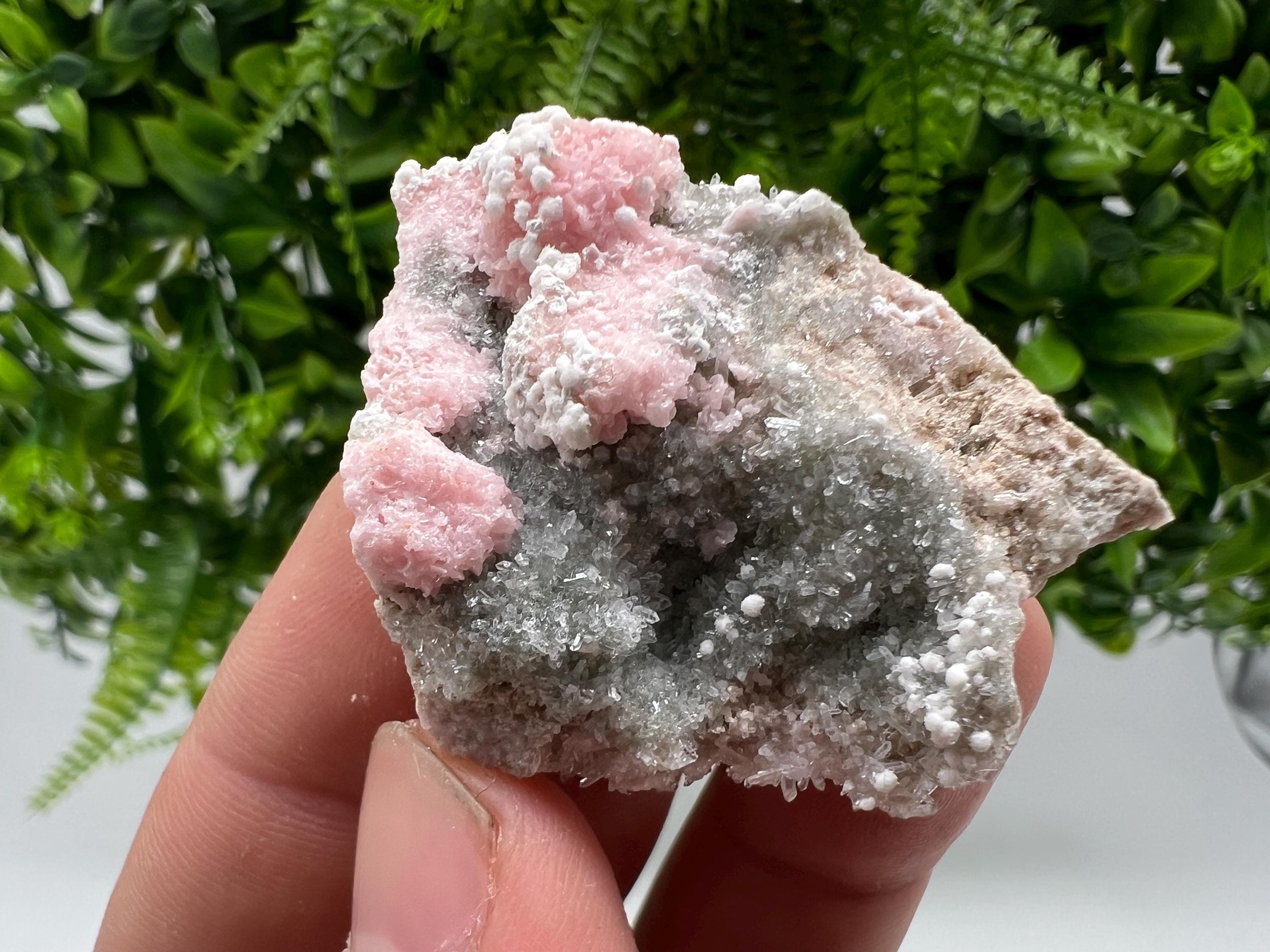 RARE Rhodochrosite with Calcite: Starnica Mine, Bulgaria