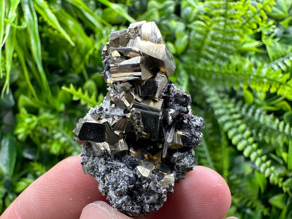 Pyrite Galena Sphalerite Quartz Mineral Specimen, Borieva Mine Bulgaria