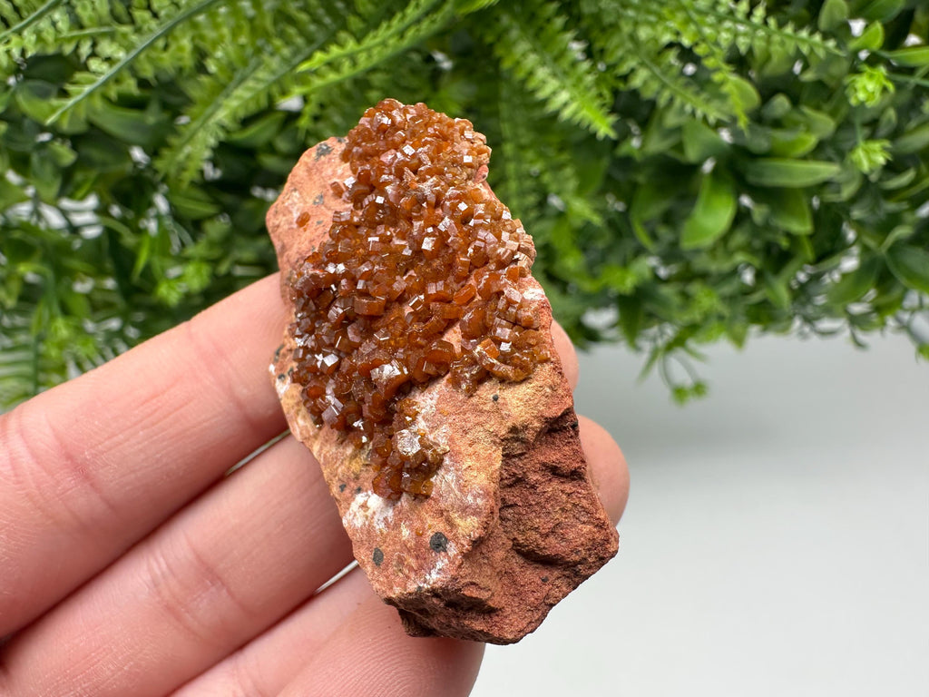 Red Vanadinite on Matrix from Marocco,crystal minerals Speciment cluster Vanadinite crystal Vanadinite Geology Vanadinite cluster minerals