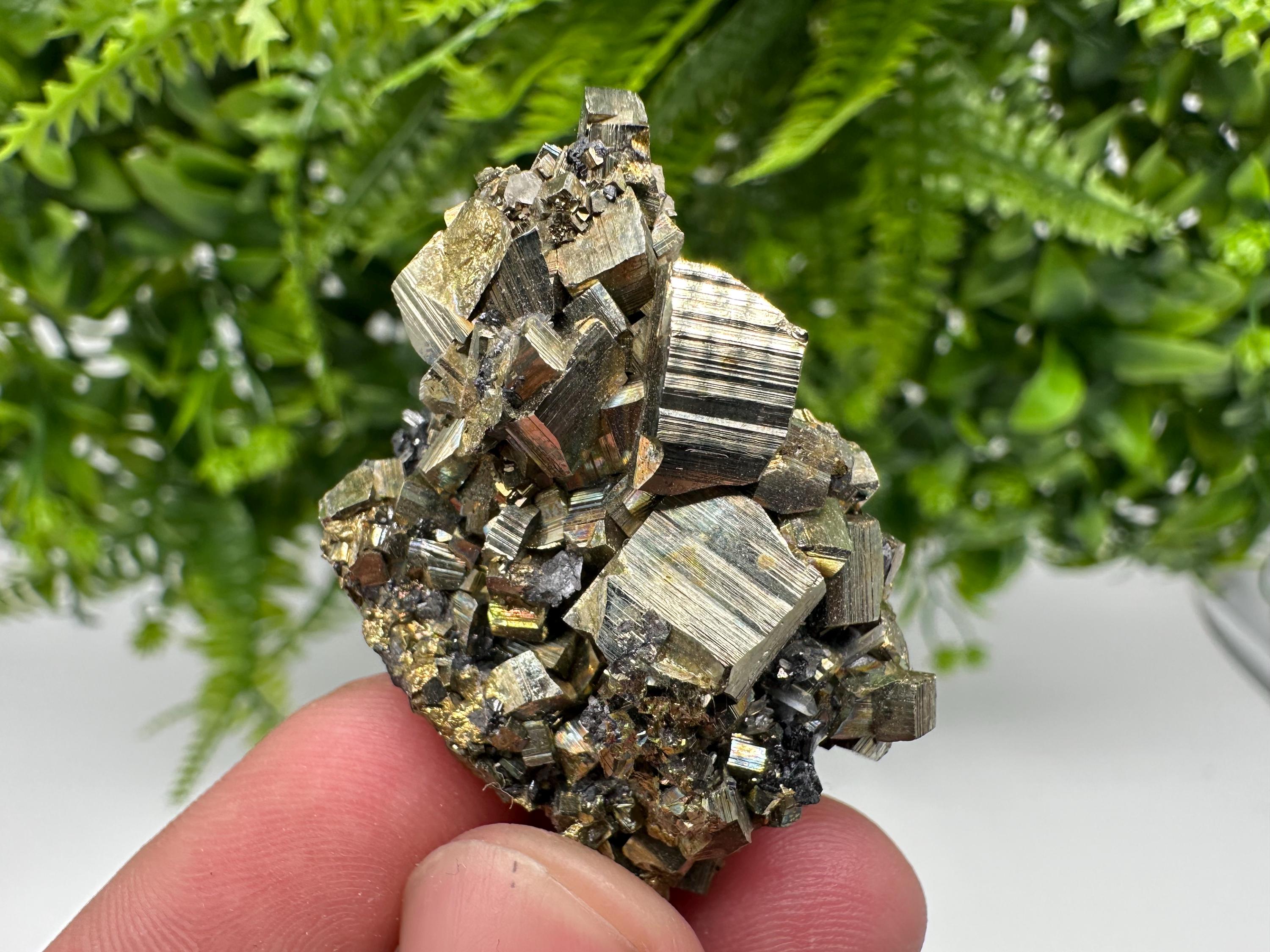 Rare Crystallized Pyrite Cluster - Borieva Mine, Bulgaria