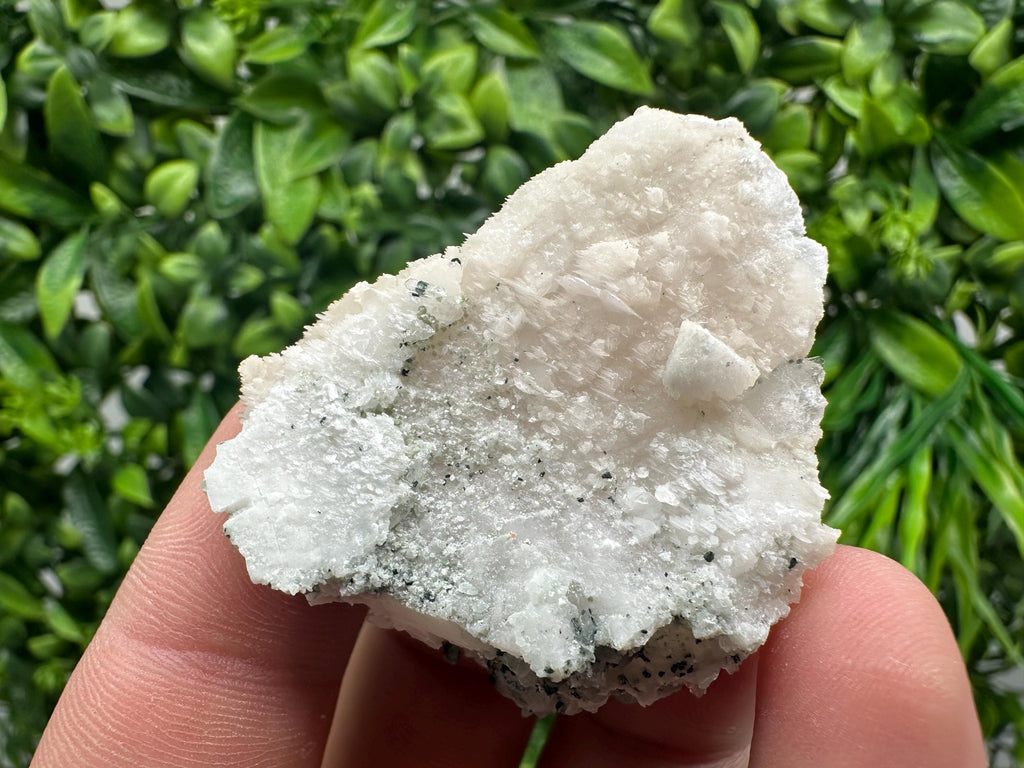 Mangano Calcite with Galena, Borieva Mine Mineral Specimen