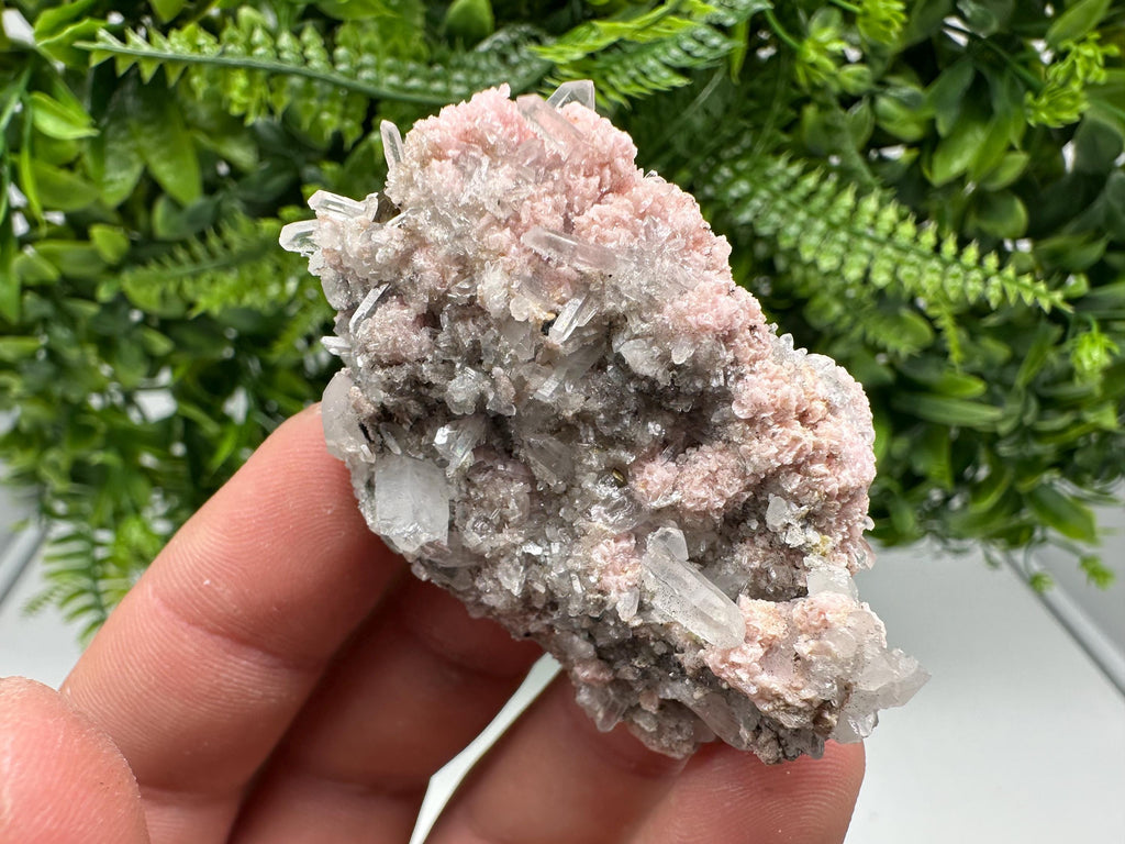 Pink Rhodochrosite Crystal, Starnica Mine, Bulgaria, Mineral Decor
