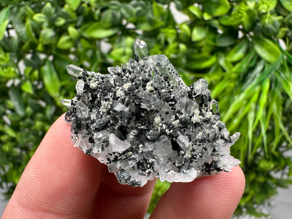 Chlorite Quartz Mineral Specimen, Borieva Mine, Bulgaria