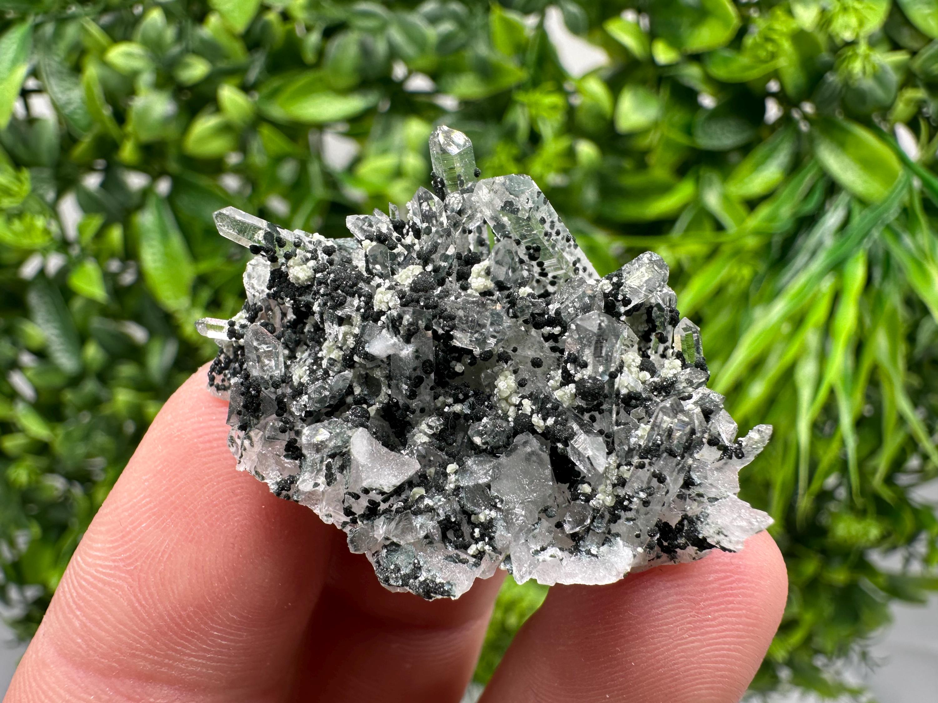 Chlorite Quartz Mineral Specimen, Borieva Mine, Bulgaria