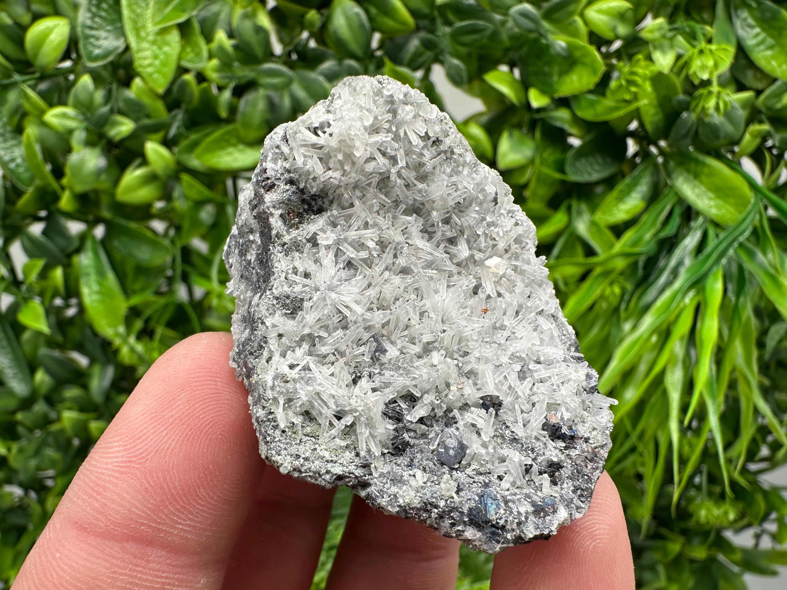 Pyrite on Green Quartz Specimen: Borieva Mine Mineral Decor