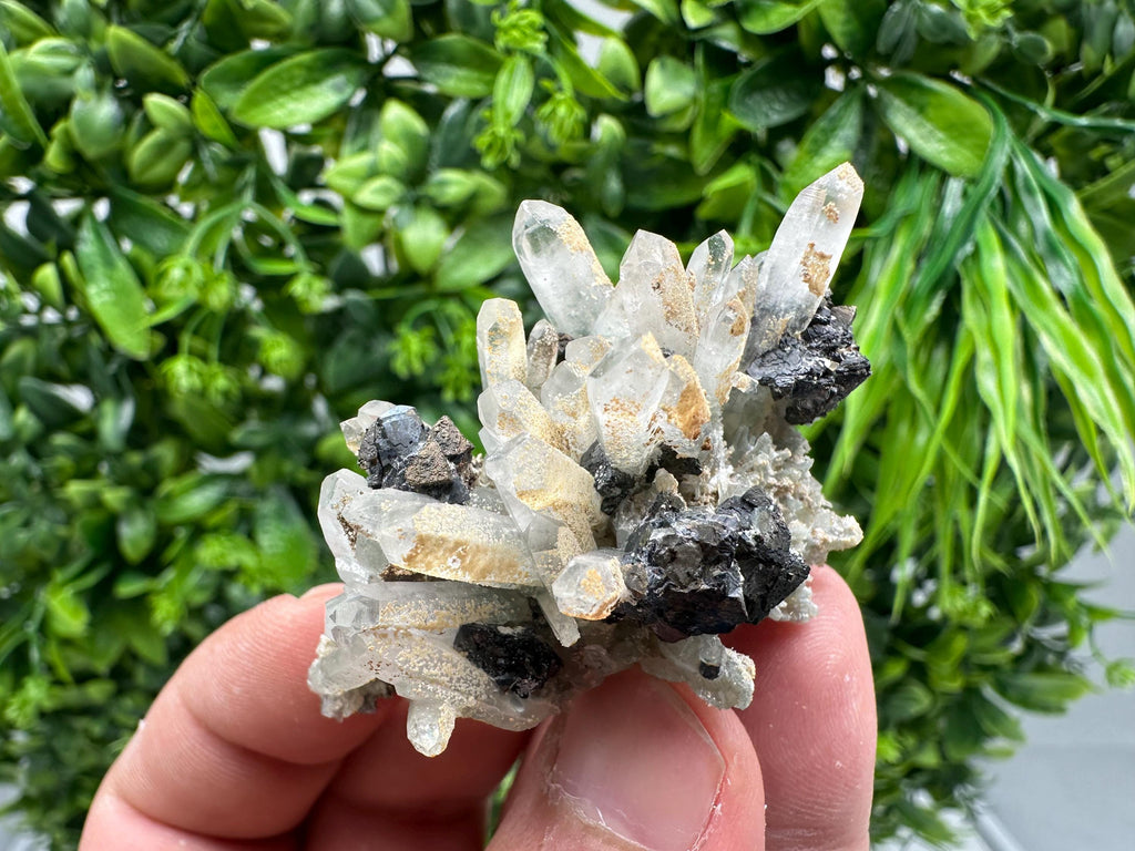 Wonderful Sphalerite Chalcopyrite on Green Quartz whit Hematite feom 9 th September mine,Bulgaria,natural,collection mineral specimen,gift