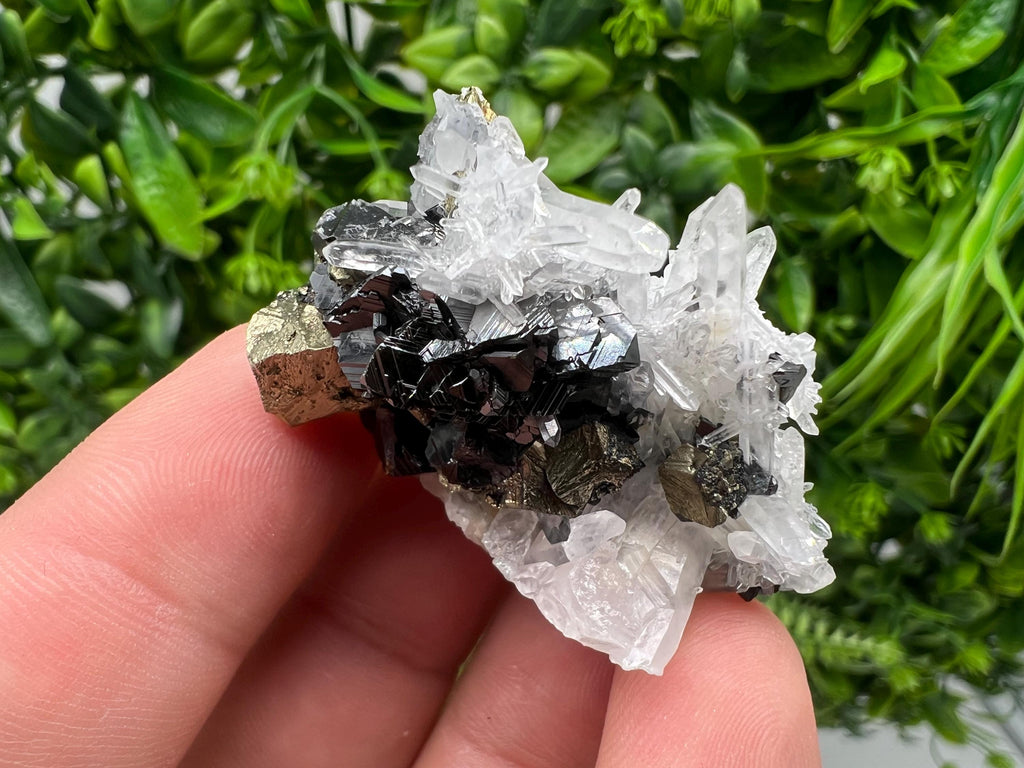 Aesthetic Natural shiny Galena whit Siderite and Quartz from 9 th September mine,Bulgaria,collection specimen,rare galena,Galena cluster
