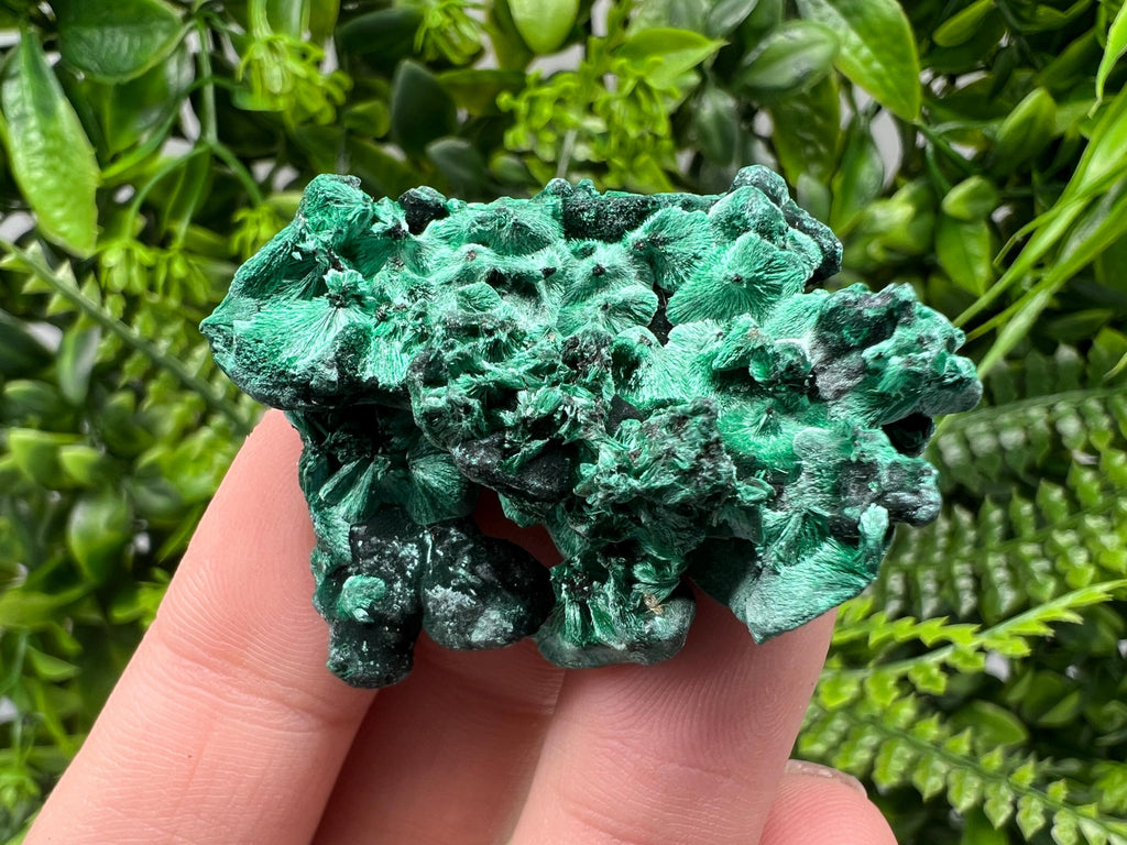 Malachite Crystal from Congo,Minerals,Crystals from Congo,Green Malachite, Malachite,Natural Malachite,Malachite Stone,Chakra, Specimens