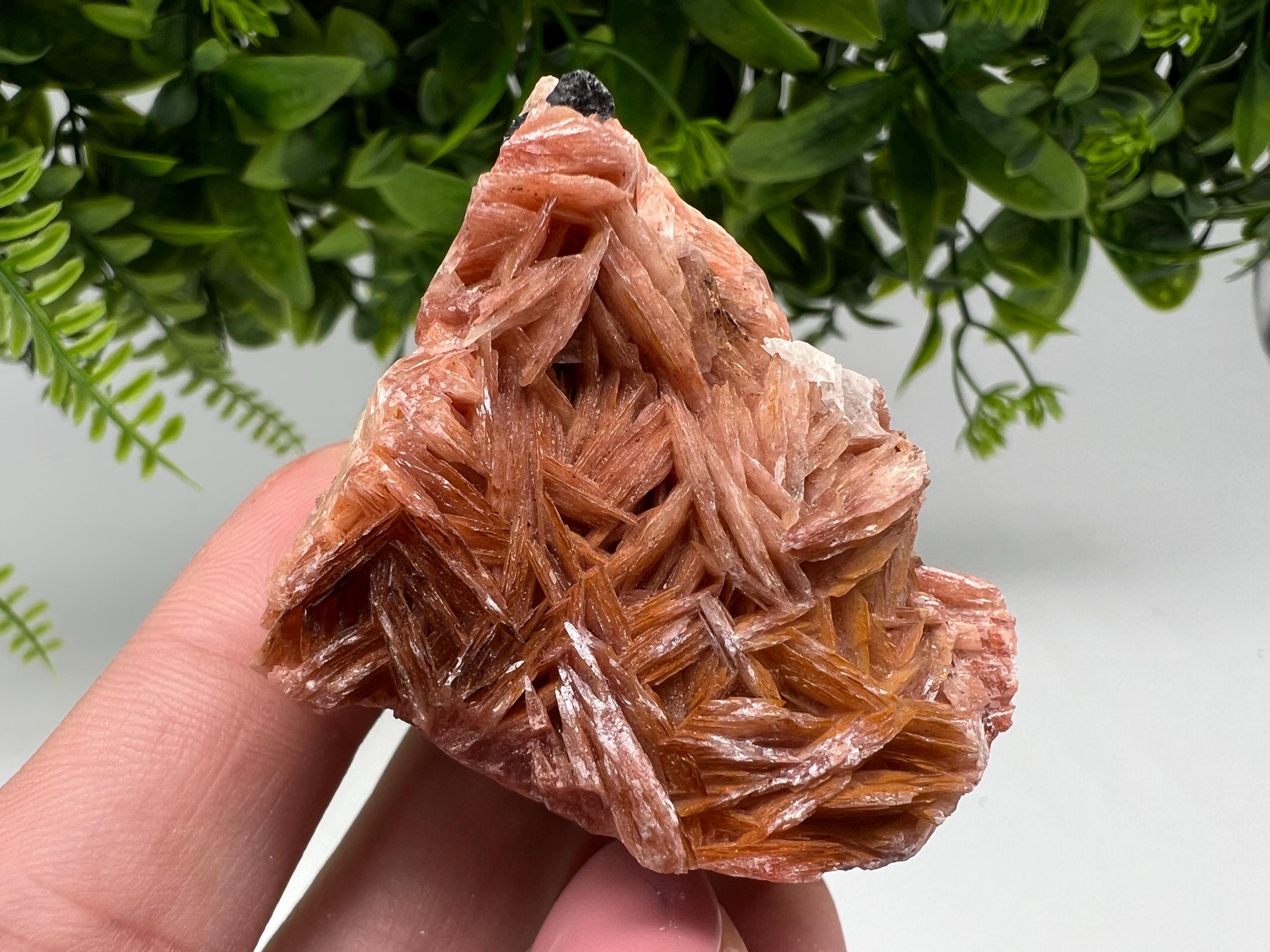 Wonderful Baryte with Cerussite on Galena from Morocco,Crystal, Mineral,Specimen,Cluster,Crystals,Barite Crystal,Cerussite Crystal,Specimen