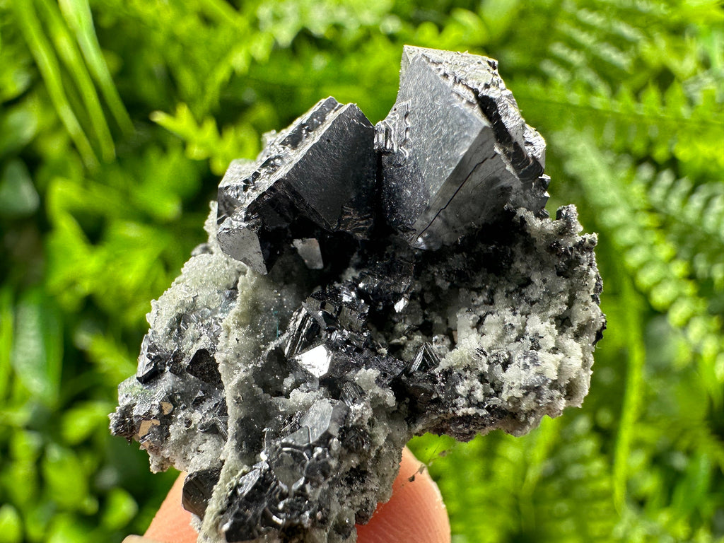 Galena on Quartz: Natural Mineral Specimen, Borieva Mine