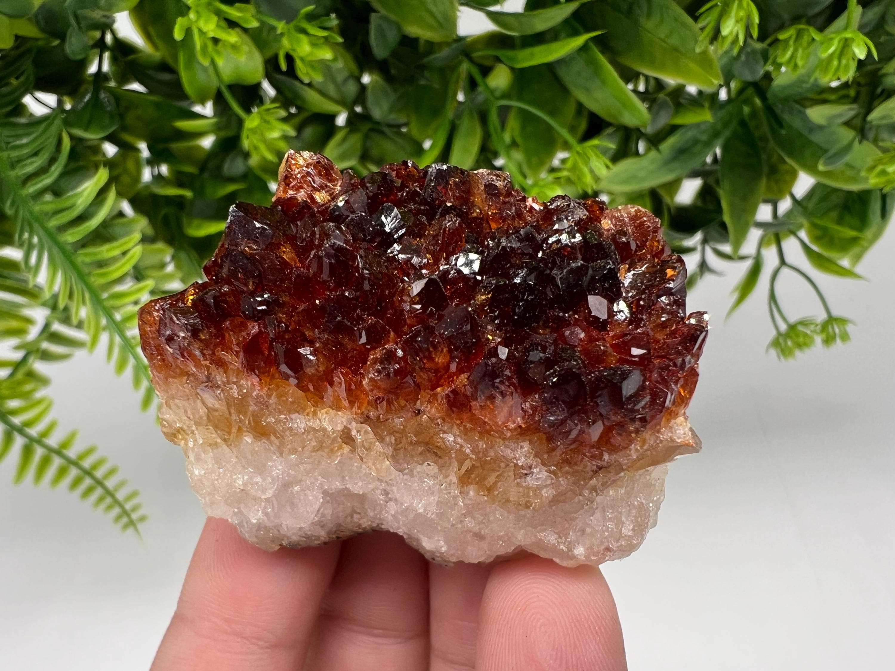 Citrine Crystal Cluster with Hematite Inclusions - Brazil