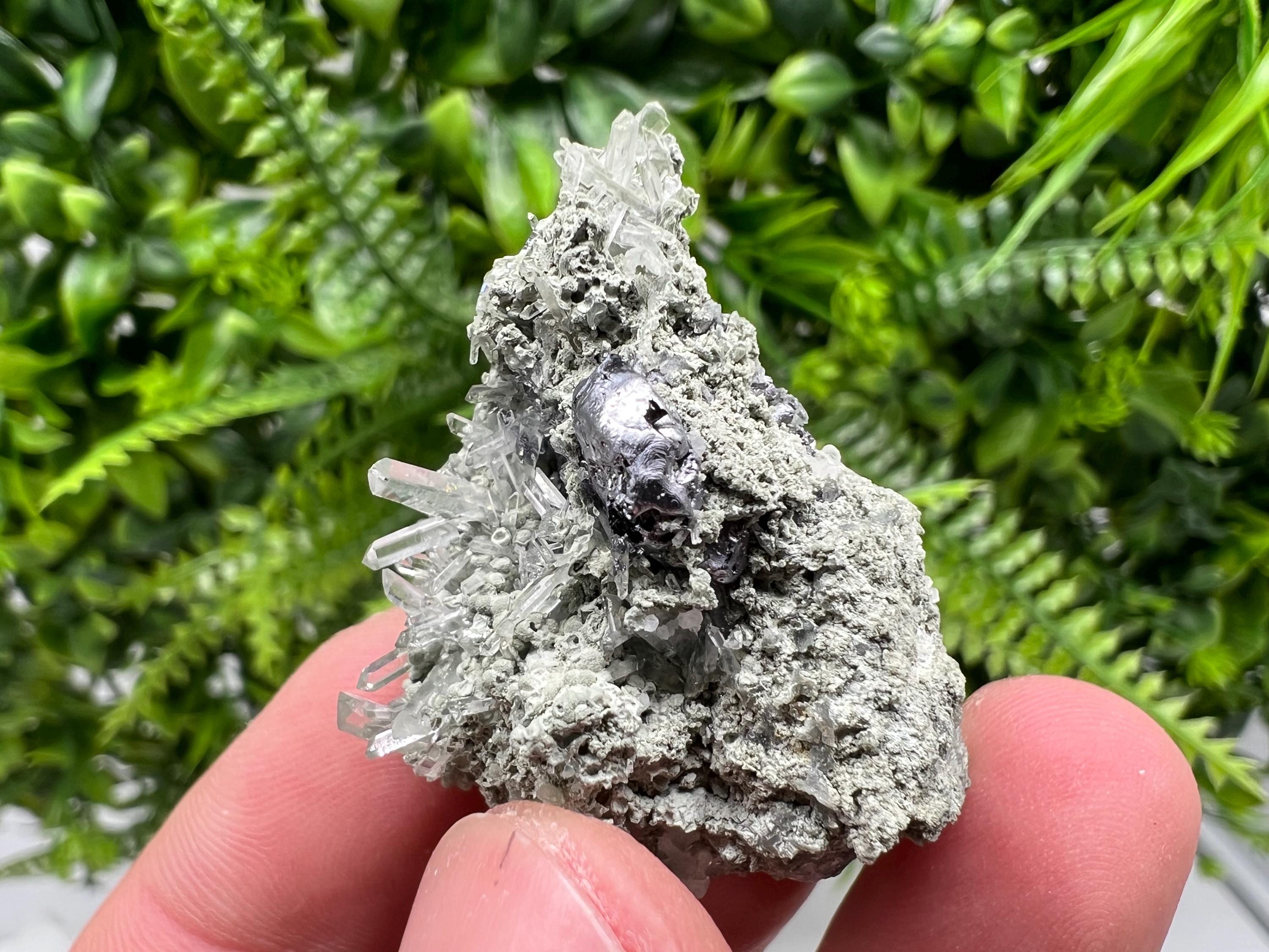 Sphalerite with Chlorite Crystal, Borieva Mine, Bulgaria